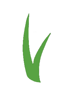 ForeverLawn Cedar Valley