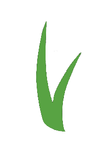 ForeverLawn Cedar Valley